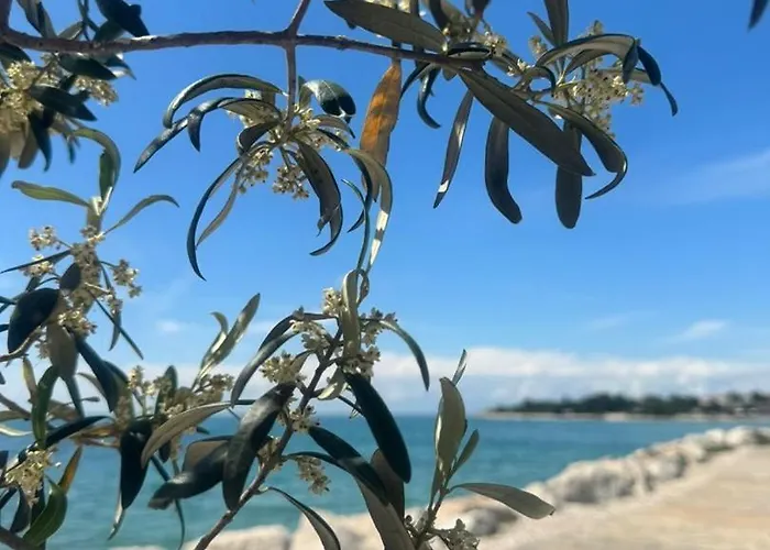 Appartamento Seaside & Golf Zambratija (Istria)