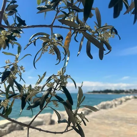 Apartman Seaside & Golf Zambratija (Istria)